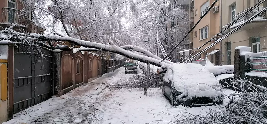 Winter Storm Damage Repair in Farmington