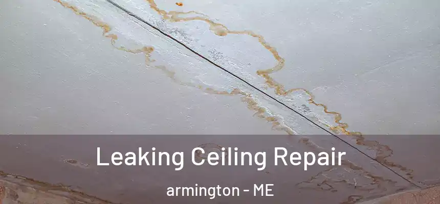 Leaking Ceiling Repair armington - ME
