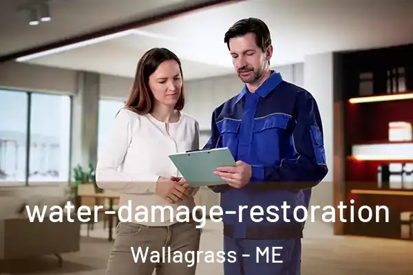 water-damage-restoration Wallagrass - ME